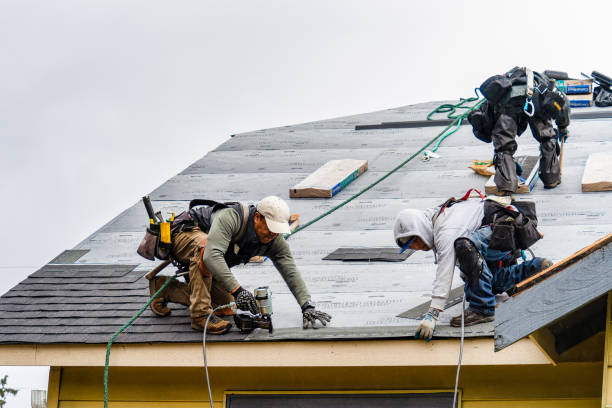 Professional Storm Damage Roof Repair technician working in Janesville, IA